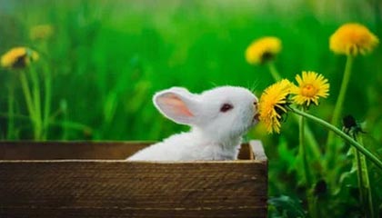 国产后入大屁股性交视频,揭秘私密瞬间