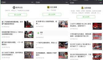 国产重磅大佬视频在线