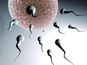 国产日本精子视频,揭秘神秘东方情欲世界