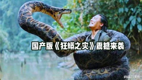 国产蟒蛇视频,探寻神秘生物的生态奥秘