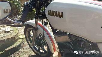 国产电驴改装视频大全,国产电驴改装视频大全解析