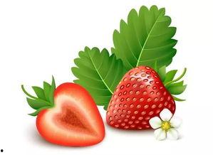 草莓国产体验视频,体验视频带你领略田园风情