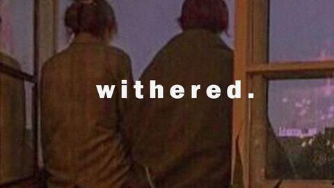 高流量国产解说视频片段,高流量内容背后的精彩瞬间