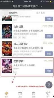 国产饺子动画片大全视频