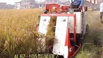 国产莴笋收割机视频下载,视频展示全新农业科技风采