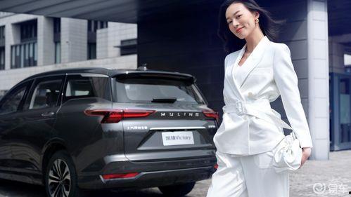 国产4座保姆车视频播放,舒适与实用的完美结合