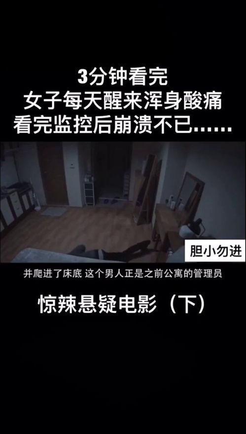 每日更新的国产大片视频