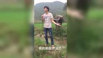 800国产福利视频,800部精选佳作，带你领略视听盛宴