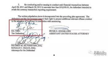 国产007签认罪书视频,揭秘幕后的惊人真相