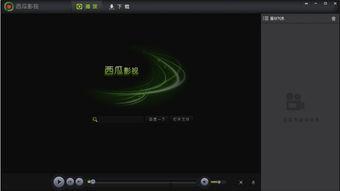 国产资源视频播放器
